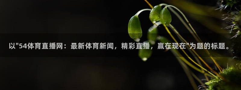 新闻图片