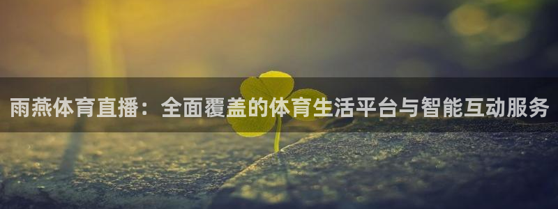 雨燕体育直播：全面覆盖的体育生活平台与智能互动服务