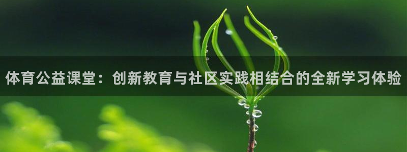 体育公益课堂：创新教育与社区实践相结合的全新学习体验