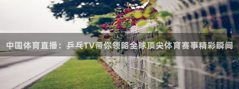 中国体育直播：乒乓TV带你领略全球顶尖体育赛事精彩瞬间