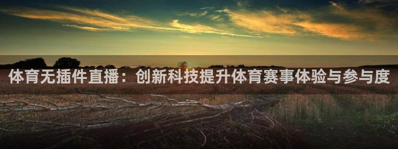 体育无插件直播：创新科技提升体育赛事体验与参与度