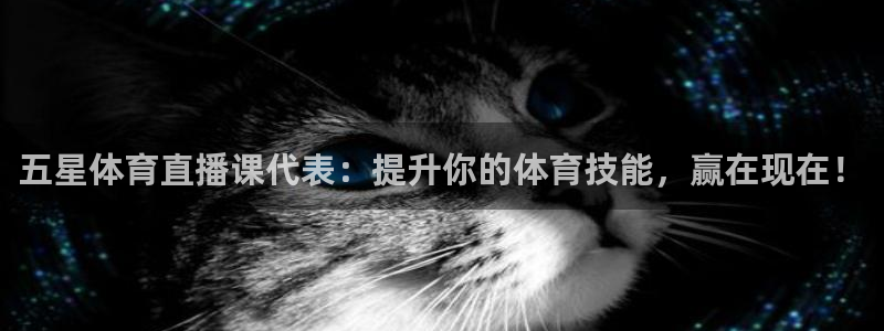 五星体育直播课代表：提升你的体育技能，赢在现在！